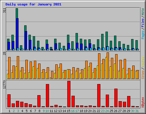 Daily usage for January 2021