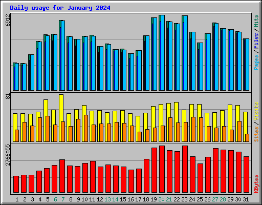 Daily usage for January 2024