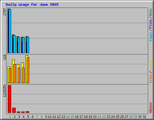 Daily usage for June 2025