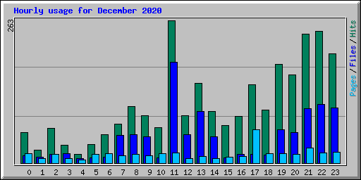 Hourly usage for December 2020