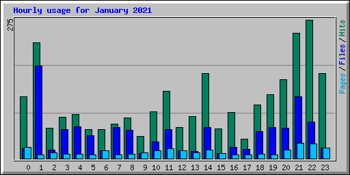 Hourly usage for January 2021