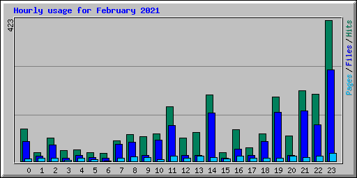 Hourly usage for February 2021