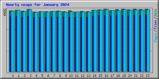 Hourly usage for January 2024