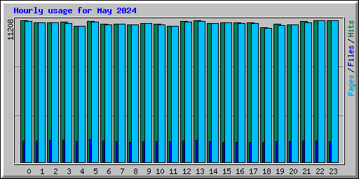 Hourly usage for May 2024