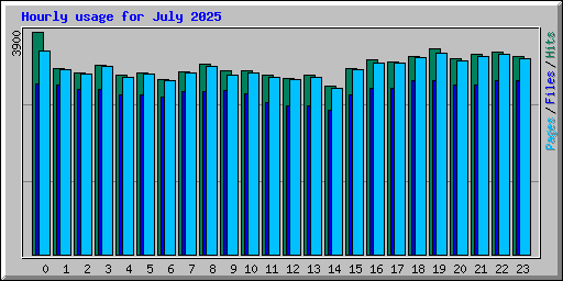 Hourly usage for July 2025