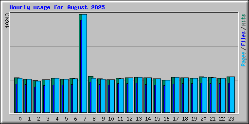 Hourly usage for August 2025