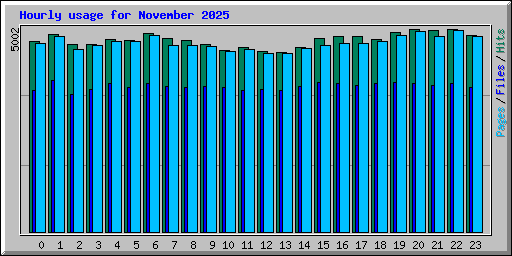 Hourly usage for November 2025