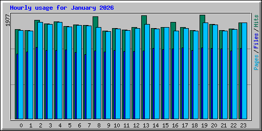 Hourly usage for January 2026